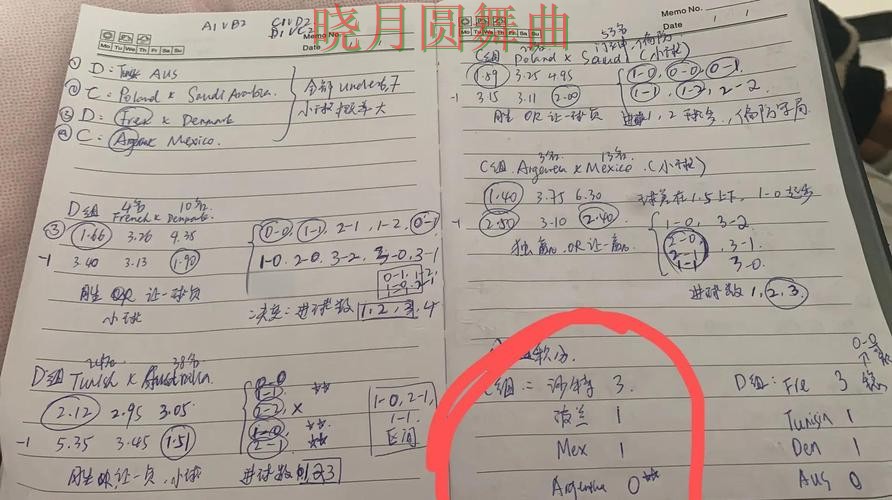 世界杯投注入口高手都在关注哪些细节 世界杯投注入口高手都在关注哪些细节
