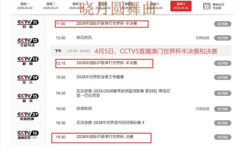 世界杯官方信息来临，世界杯竞猜网站玩法指南+直播与平台选择揭秘